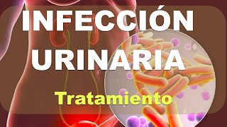 Infección Urinaria Tratamiento Explicación [upl. by Dorry]