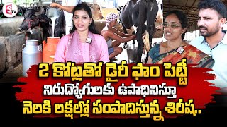 Dairy Farm Business  Earning Lakhs of Money Per Monthly  Srikakulam  SumanTV [upl. by Acissaj]