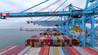 New record in container handling at APM Terminals MVII [upl. by Kahn286]