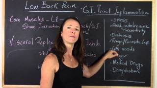 Low back pain and Gastrointestinal issues [upl. by Bruni63]