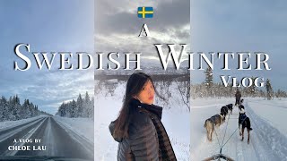 Swedish Lapland Vlog Northern Lights Dog Sledding in Kiruna amp Abisko [upl. by Droffig985]