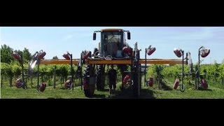 Hagie 4 row Quantum Mist Vineyard Sprayer [upl. by Nois]