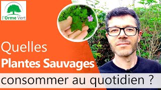 Quelques Plantes Sauvages Comestibles  Petit tour du Jardin 2020 [upl. by Magnuson]