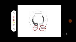 Q Describe mode of action of otoliths semicircular canals and their role in regulation of posture [upl. by Eniamej]