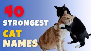 What is the strongest cat name Our 40 Top amp Best Ideas [upl. by Mahsih]