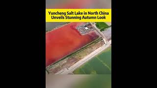 Yuncheng Salt Lake in North china Unveils Stunning Autumn Lookfyp chinatiktok tourism [upl. by Sitoeht232]