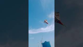 MAKING DIFFERENT STYLE OF KITE USING NEWSPAPER 😍 shorts pkcrazyexperiments [upl. by Alvan]