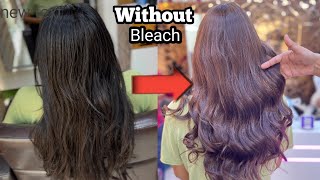 Without Prilightning Warm Brown Shade Achieve  Dark To Light Procedure Salonfact [upl. by Beall692]