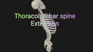 Thoracolumbar spine Extension [upl. by Essile]