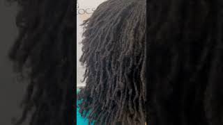 Freshly Retightened Sisterlocks sisterlocks retightening sisterlockupdate hairforthejourney [upl. by Inaffets475]