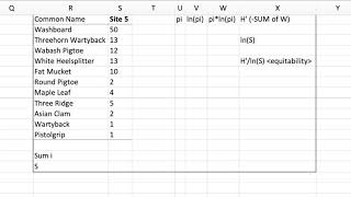 Shannon Diversity and Equitability calculation in Excel – freshwater mussel data [upl. by Anastas]