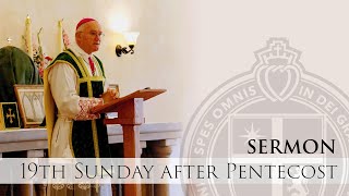 Sermon  For the Salvation of Souls  H E Bishop Fellay  101023 [upl. by Nirrat]