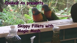 Skippy fillets and Magic mash [upl. by Eentroc]