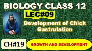 Development of Chick I Gastrulation I Chapter 19 I Growth and Development I Lec 09 [upl. by Annirtak]