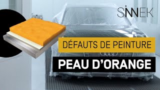 Comment Réparer LEFFET PEAU DORANGE de la Peinture [upl. by Uuge]