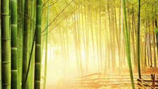 Feng Shui  music for balanced living relaxtion music www keepvid com [upl. by Dulcinea]