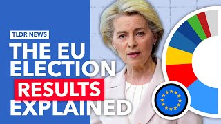 The EU Parliament Election Results Explained [upl. by Urbano838]