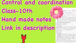 Control and Coordination pdf hand made notes  class 10 science  CBSE  human brain endocrine gland [upl. by Anialam933]