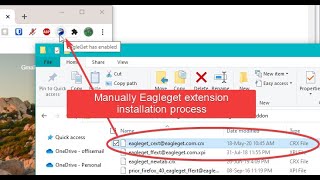 Manually Repair Or Add Eagleget Extension In Chrome [upl. by Pinkham]