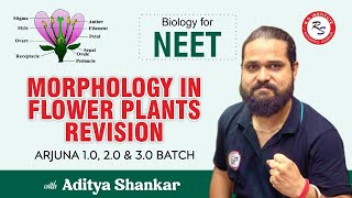 MORPHOLOGY IN FLOWER PLANTS REVISION  BY ADITYA SIR I ARJUNA  BEST NEET COACHING IN KANPUR [upl. by Cirenoj]