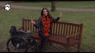 Felina Tiger VLOG45  BEGINNING OF MY HANDBIKE TRAINING [upl. by Neils755]