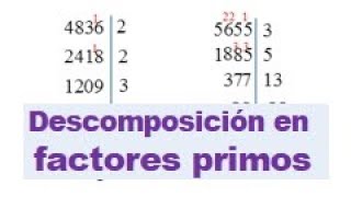 Descomponer numeros grandes en factores primos [upl. by Maillliw]