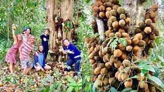 Fruit Hunters Finally Find Rarest Durian In The World [upl. by Nodroj]