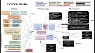 Parkinson disease parkinsonism mechanism of disease [upl. by Pacian]