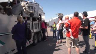 Horses arrive by air for The Event at Rebecca Farm [upl. by Aitetel]