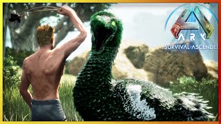 These Dodos Are Worse Than A Giga  ARK Amissa Descended Chaos Episode 2 [upl. by Cenac]