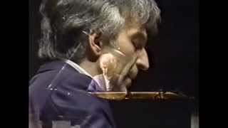 Chopin Nocturne Op482 Vladimir Ashkenazy [upl. by Aisatal]