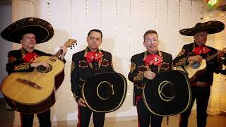 SI NOS DEJAN NESTOR GIRALDO Y SU MARIACHI MEXICOLOMBIA [upl. by Vincent]