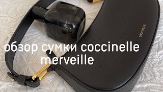 BAGS REVIEW COCCINELLE MERVEILLE [upl. by Akenot]