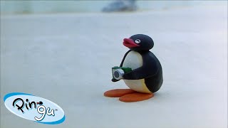 Best Episodes from Season 2  Pingu  Official Channel  Cartoons For Kids [upl. by Karyl]