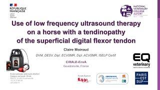 Equine Tendinopathy of the Superficial Digital Flexor Tendon EQ Pro Therapy Case  CIRALE  EnvA [upl. by Dalpe]