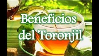 Beneficios del toronjil [upl. by Nire730]