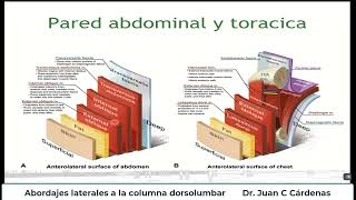 Abordajes laterales a la columna dorsolumbar [upl. by Tedmann]