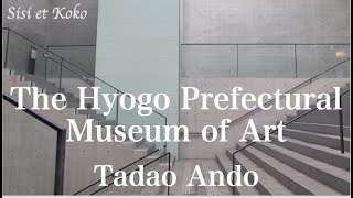 The Hyogo Prefectural Museum of Art designed by Tadao Ando [upl. by Eirrehs939]