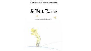 The Little Prince 2010 S1 Ep1 French Dub [upl. by Dnomaj]