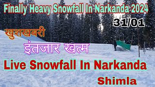 Finally Heavy Snowfall In Narkanda  Live Snowfall In नारकंडा शिमला [upl. by Kelton]