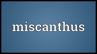 Miscanthus Meaning [upl. by Aivatahs735]