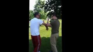 Wing Chun Kung Fu  Chicago Hoffman Estates Wood Dale [upl. by Divadnahtanoj839]