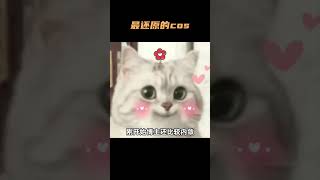 史上最还原星期日的COS！猎奇到动物界？ 崩坏星穹铁道 [upl. by Dag193]