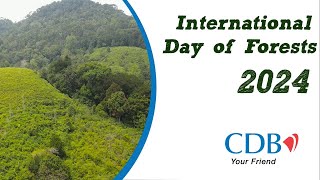 International Day of Forests 2024 [upl. by Onirefez]