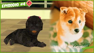 Nintendogs 柴ampフレンズ  EPISODIO 4 ITA [upl. by Gapin]