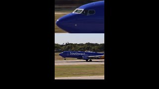 SWA Boeing 737800 take off from DAL [upl. by Ylagam449]