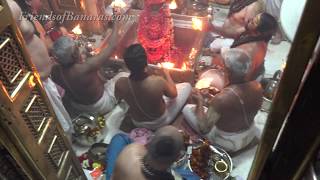 Kashi Vishwanath Darshan and Saptarishi Aarti [upl. by Koorb]