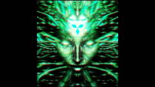 exeCute System Shock dubstep deathstep [upl. by Annmarie617]