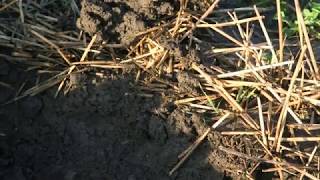 06  Soil Resilience with Reduced Tillage Techniques [upl. by Aelahs]