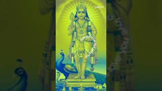 Kanda sashti viratham day3 godmorning murugan kanda kadamba karthikeya vadivela kumara 🙏🙏🙏🙏🙏 [upl. by Ierbua]